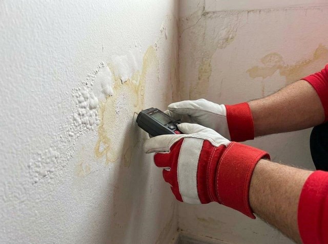 Diagnóstico e inspección de humedades e impermeabilización en Pontevedra - Imagen 1