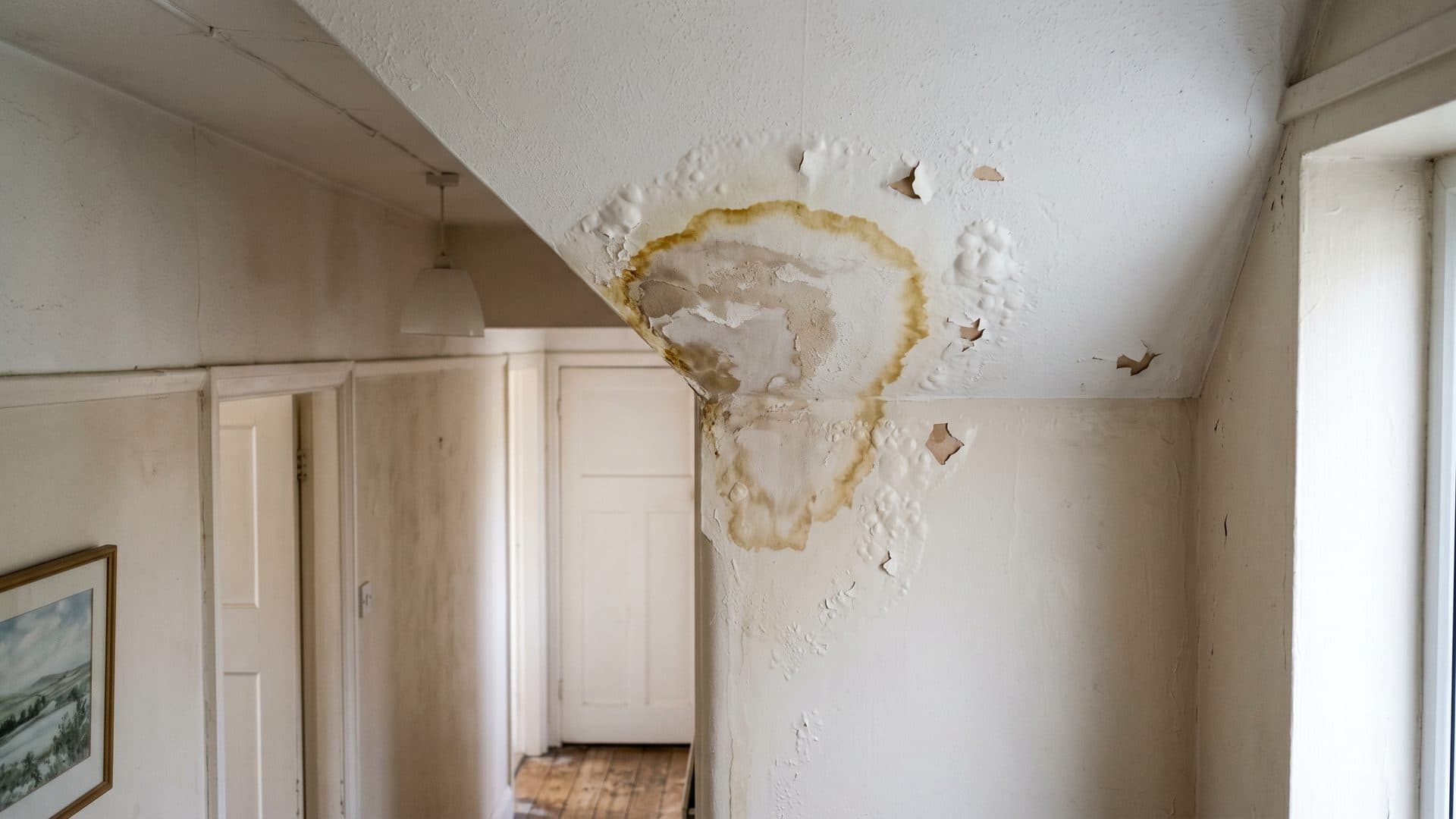 Humedades y filtraciones en una vivienda de Pontevedra
